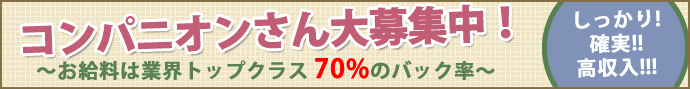 コンパニオンさん大募集中です！